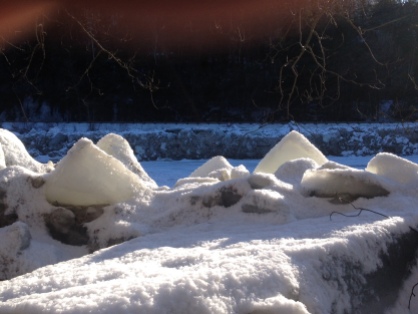 Icebergs along the West River Trail
